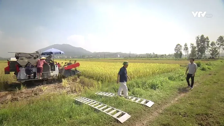Phố trong làng - Tập cuối: Thanh xuân ý nghĩa của các chàng công an xã Tân Xuân - Ảnh 14. Phố trong làng - Tập cuối: Thanh xuân ý nghĩa của các chàng công an xã Tân Xuân - Ảnh 14.