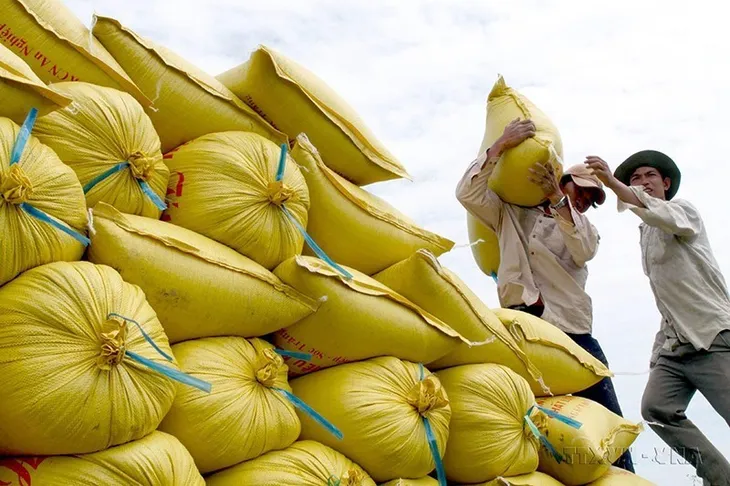 Xuất khẩu gạo tăng mạnh tháng đầu năm - Ảnh 1. Xuất khẩu gạo tăng mạnh tháng đầu năm - Ảnh 1.