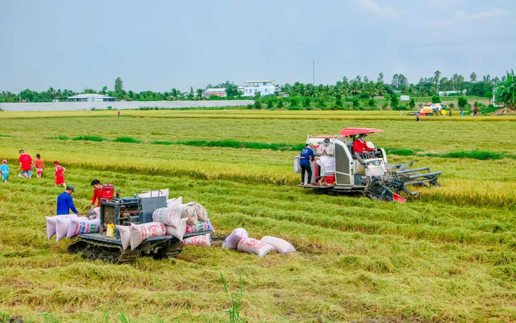 Xuất khẩu gạo tăng mạnh tháng đầu năm - Ảnh 2. Xuất khẩu gạo tăng mạnh tháng đầu năm - Ảnh 2.