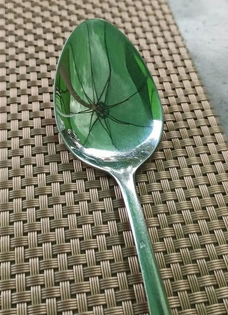 Thư giãn với chùm ảnh đánh lừa thị giác - Ảnh 13.