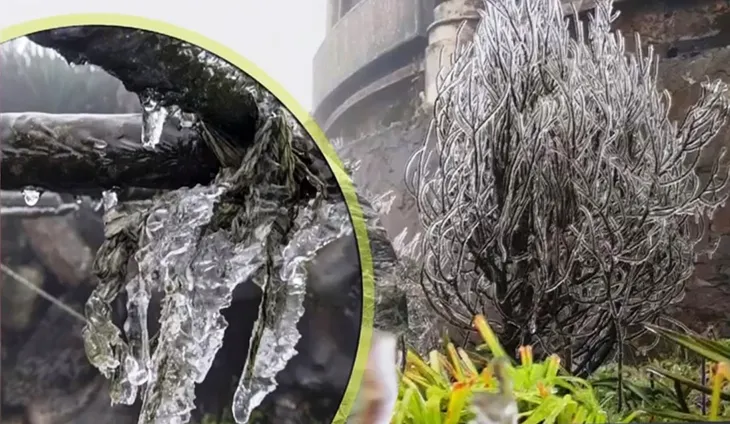 Băng giá phủ kín đỉnh Mẫu Sơn - Ảnh 1. Băng giá phủ kín đỉnh Mẫu Sơn - Ảnh 1.