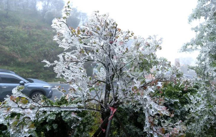 Băng tuyết phủ trắng đỉnh đèo Ô Quý Hồ - Ảnh 6. Băng tuyết phủ trắng đỉnh đèo Ô Quý Hồ - Ảnh 6.