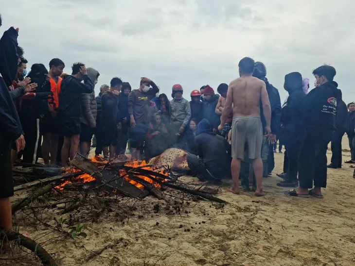 Sóng đánh chìm 8 tàu cá, 14 ngư dân thoát nạn - Ảnh 1. Sóng đánh chìm 8 tàu cá, 14 ngư dân thoát nạn - Ảnh 1.