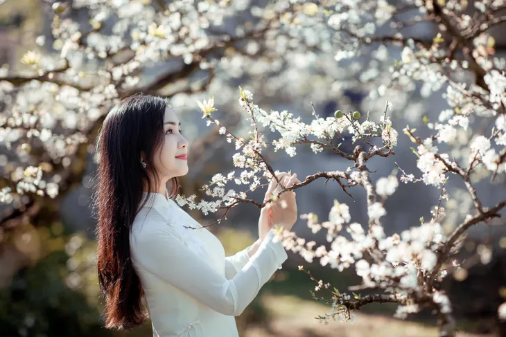 NSND Thu Hà yêu kiều giữa vườn mận trắng muốt - Ảnh 9. NSND Thu Hà yêu kiều giữa vườn mận trắng muốt - Ảnh 9.