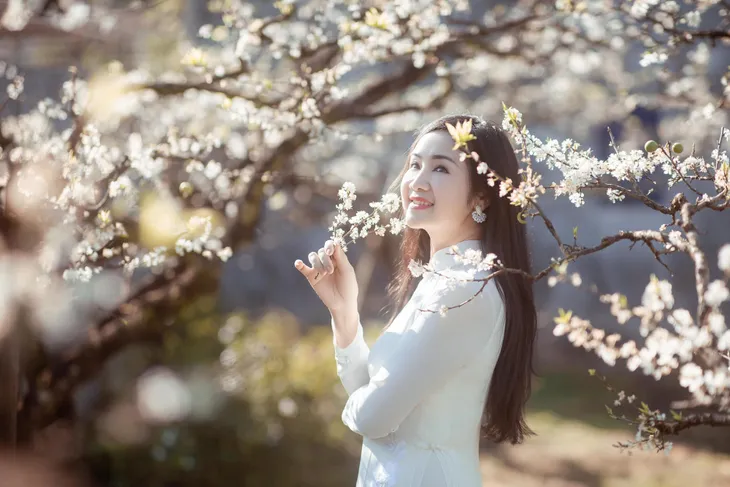 NSND Thu Hà yêu kiều giữa vườn mận trắng muốt - Ảnh 1. NSND Thu Hà yêu kiều giữa vườn mận trắng muốt - Ảnh 1.