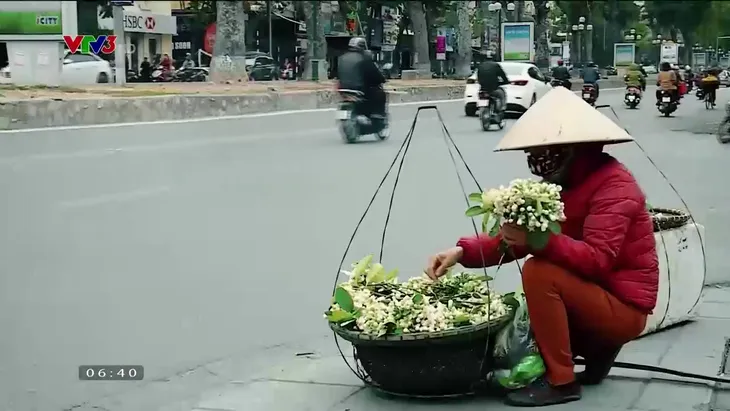 Hà Nội tháng 3 thơm ngát những gánh hoa bưởi - Ảnh 5.