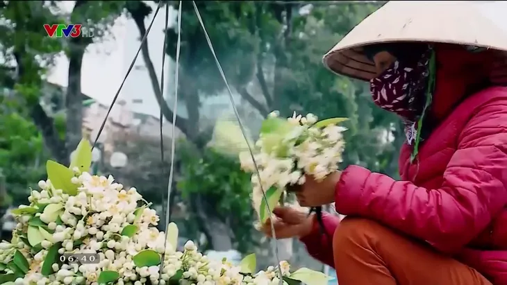 Hà Nội tháng 3 thơm ngát những gánh hoa bưởi - Ảnh 6.