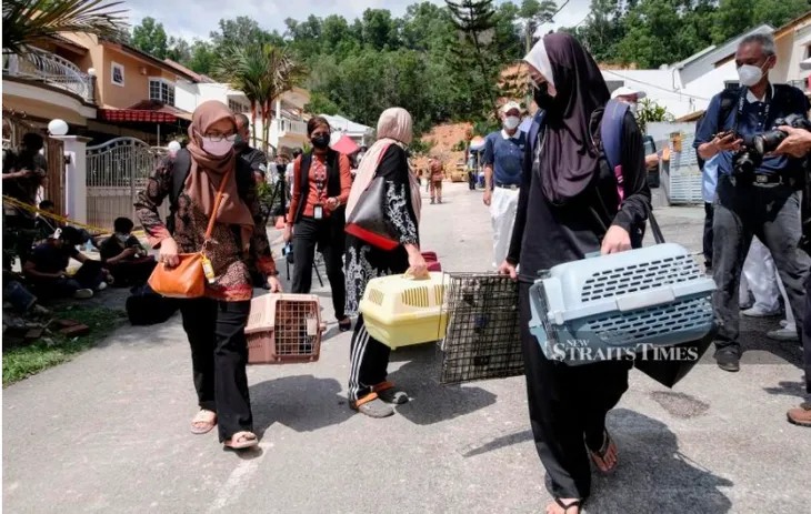 Mưa lớn bất thường gây lở đất ở thủ đô Malaysia, 4 người thiệt mạng - Ảnh 2. Mưa lớn bất thường gây lở đất ở thủ đô Malaysia, 4 người thiệt mạng - Ảnh 2.
