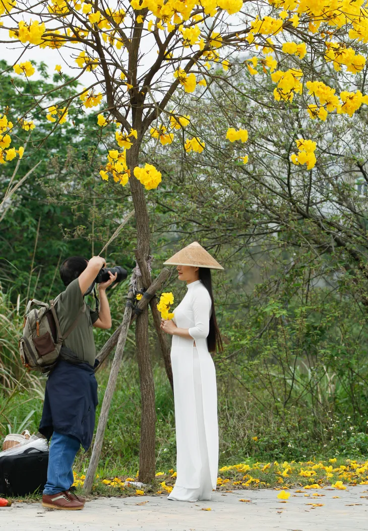 Người dân Hà Nội nô nức đi chụp ảnh con đường hoa Chuông vàng - Ảnh 7. Người dân Hà Nội nô nức đi chụp ảnh con đường hoa Chuông vàng - Ảnh 7.