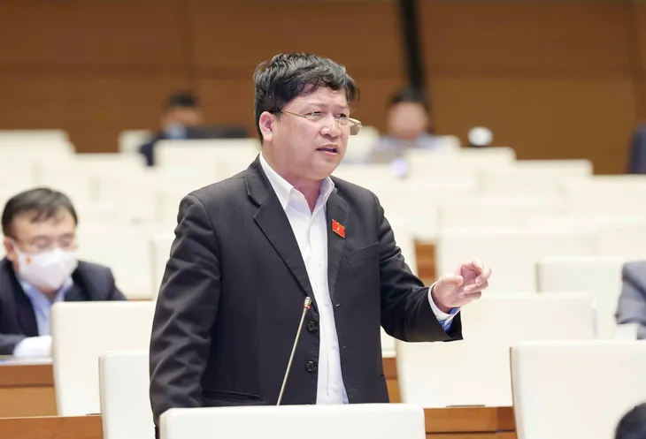 Bỏ cọc đấu giá đất: Cần xem xét xử lý hình sự nếu có âm mưu lũng đoạn thị trường - Ảnh 1. Bỏ cọc đấu giá đất: Cần xem xét xử lý hình sự nếu có âm mưu lũng đoạn thị trường - Ảnh 1.