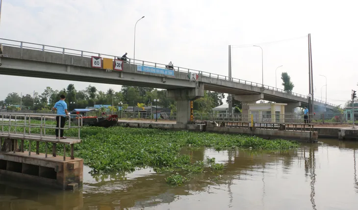 ĐBSCL ứng phó xâm nhập mặn giữa tháng 3 - Ảnh 1. ĐBSCL ứng phó xâm nhập mặn giữa tháng 3 - Ảnh 1.