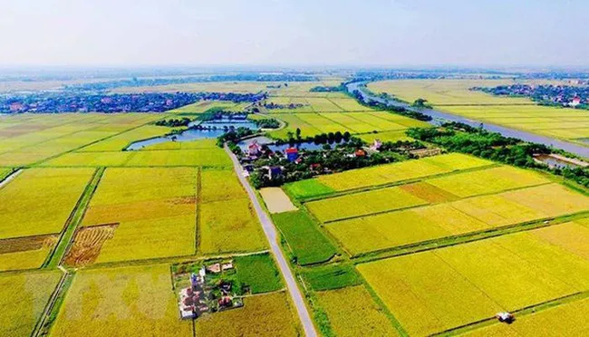 Chuyển mục đích sử dụng đất tại 4 tỉnh - Ảnh 1. Chuyển mục đích sử dụng đất tại 4 tỉnh - Ảnh 1.