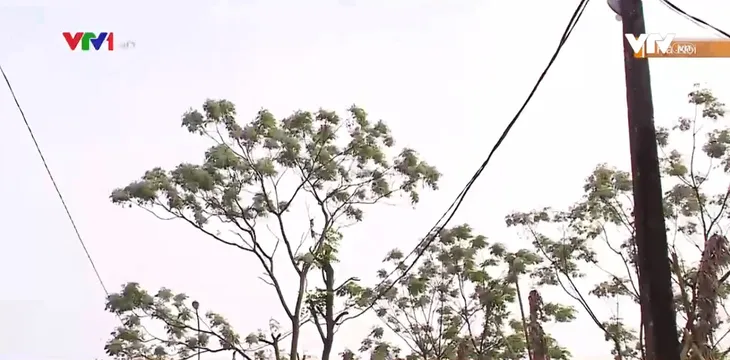 “Xóm ốc đảo” giữa lòng Thủ đô vẫn chưa có điện, nước - Ảnh 1. “Xóm ốc đảo” giữa lòng Thủ đô vẫn chưa có điện, nước - Ảnh 1.
