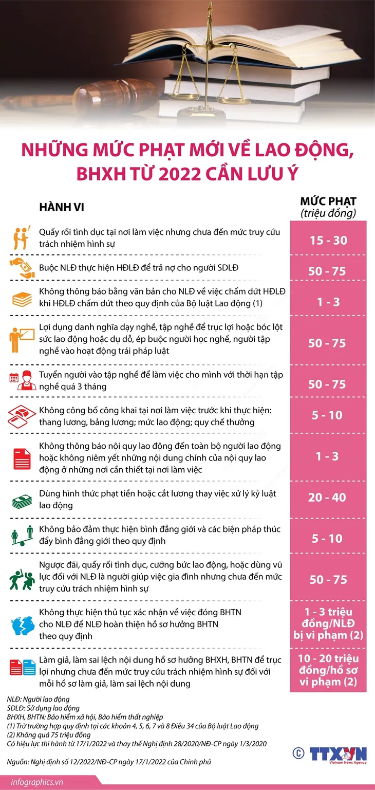 [INFOGRAPHIC] Những mức phạt mới về lao động, BHXH từ 2022 cần lưu ý - Ảnh 1.