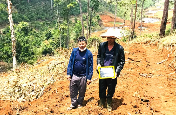 Gần 1,9 ha rừng bị tàn phá: Đình chỉ công tác Chủ tịch xã Lộc Phú - Ảnh 3. Gần 1,9 ha rừng bị tàn phá: Đình chỉ công tác Chủ tịch xã Lộc Phú - Ảnh 3.