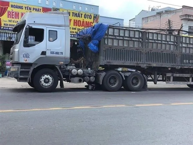 Xe đầu kéo gây tai nạn, hai vợ chồng tử vong tại chỗ - Ảnh 1. Xe đầu kéo gây tai nạn, hai vợ chồng tử vong tại chỗ - Ảnh 1.