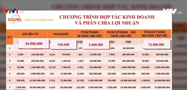 Bất thường “Chương trình hợp tác kinh doanh” của công ty Capel - Ảnh 2. Bất thường “Chương trình hợp tác kinh doanh” của công ty Capel - Ảnh 2.