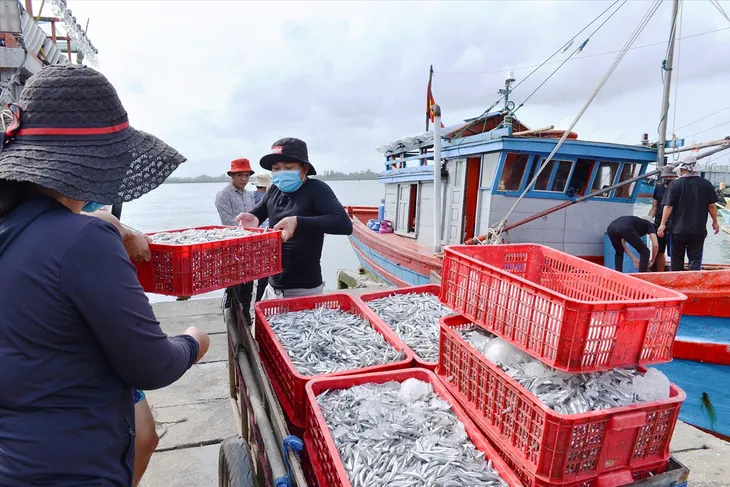 Đưa kinh tế biển lên tầm cạnh tranh khu vực và toàn cầu - Ảnh 2. Đưa kinh tế biển lên tầm cạnh tranh khu vực và toàn cầu - Ảnh 2.