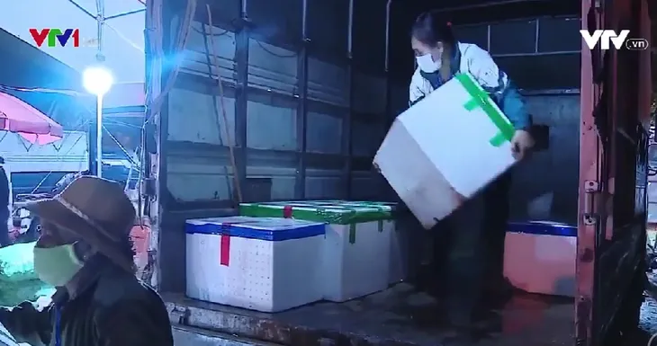 Hạnh phúc giản dị của những phụ nữ bốc vác ở chợ đầu mối - Ảnh 1. Hạnh phúc giản dị của những phụ nữ bốc vác ở chợ đầu mối - Ảnh 1.