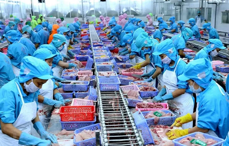 Nhiều dư địa xuất khẩu nông, lâm, thủy sản sang Hoa Kỳ - Ảnh 1. Nhiều dư địa xuất khẩu nông, lâm, thủy sản sang Hoa Kỳ - Ảnh 1.