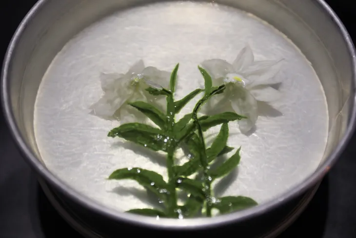 Tạo hình 3D hoa loa kèn bằng thạch rau câu - Ảnh 9. Tạo hình 3D hoa loa kèn bằng thạch rau câu - Ảnh 9.