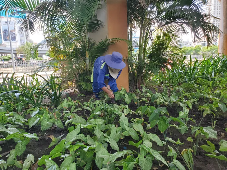 TP Hồ Chí Minh: Cận cảnh đường song hành đại lộ Võ Văn Kiệt trước ngày thông xe - Ảnh 6. TP Hồ Chí Minh: Cận cảnh đường song hành đại lộ Võ Văn Kiệt trước ngày thông xe - Ảnh 6.