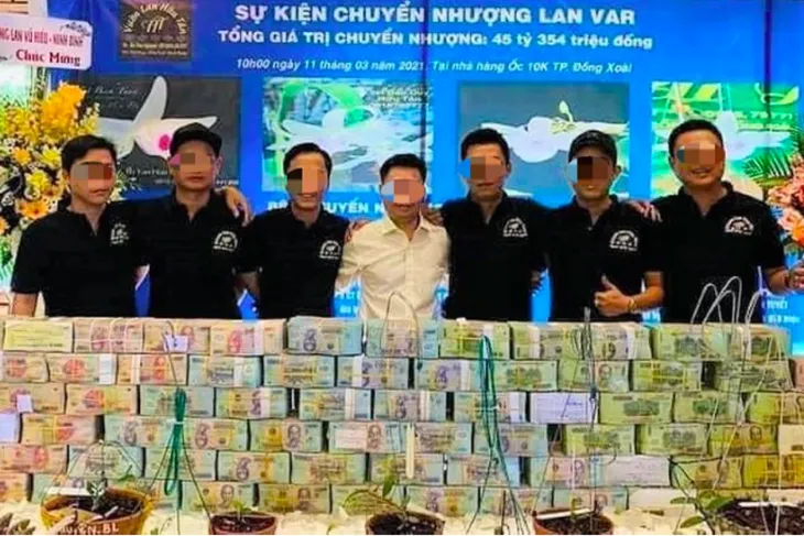 Lan đột biến hết thời tiền tỷ, tụt dốc rẻ hơn... rau muống - Ảnh 3. Lan đột biến hết thời tiền tỷ, tụt dốc rẻ hơn... rau muống - Ảnh 3.