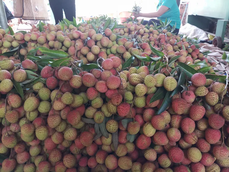 Vải u hồng Đắk Lắk vào TP. Hồ Chí Minh giá 80.000 đồng/kg - Ảnh 4.