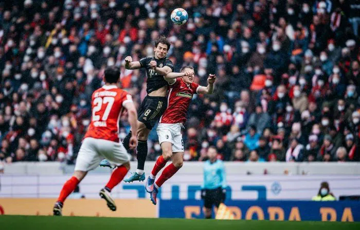 Bayern Munich thắng đậm Freiburg - Ảnh 1. Bayern Munich thắng đậm Freiburg - Ảnh 1.