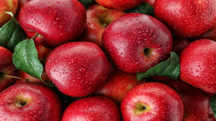 Điểm mặt những thực phẩm giúp cải thiện sức khỏe phổi hậu COVID - Ảnh 6. Điểm mặt những thực phẩm giúp cải thiện sức khỏe phổi hậu COVID - Ảnh 6.