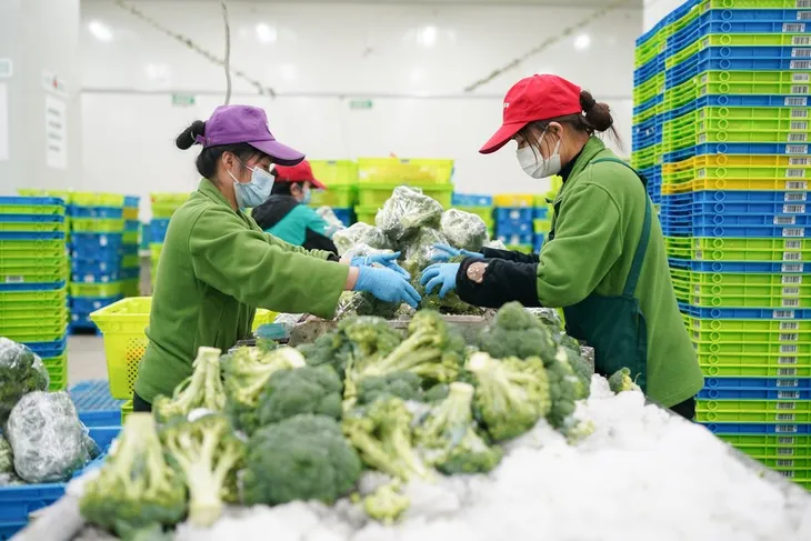 Trung Quốc hỗ trợ doanh nghiệp vượt qua giai đoạn phong tỏa - Ảnh 1. Trung Quốc hỗ trợ doanh nghiệp vượt qua giai đoạn phong tỏa - Ảnh 1.