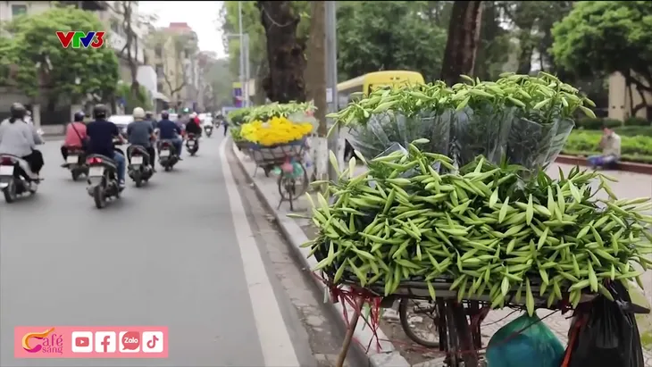 Sắc hoa loa kèn dịu dàng trên phố Hà Nội - Ảnh 1. Sắc hoa loa kèn dịu dàng trên phố Hà Nội - Ảnh 1.