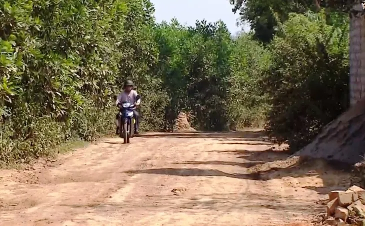 Xe quá khổ, quá tải phá nát đường dân sinh - Ảnh 4. Xe quá khổ, quá tải phá nát đường dân sinh - Ảnh 4.
