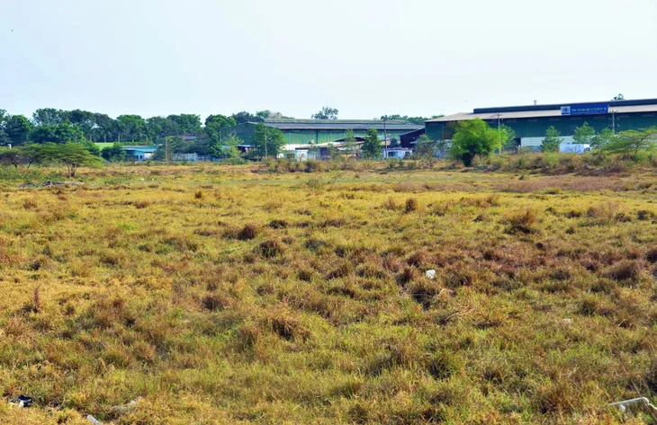 TP Hồ Chí Minh: Yêu cầu huyện Hóc Môn xử lý dứt điểm vi phạm trong xây dựng - Ảnh 1.