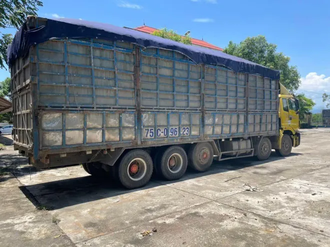 Xác minh thông tin cảnh sát giao thông đánh tài xế xe tải gãy xương sườn - Ảnh 1. Xác minh thông tin cảnh sát giao thông đánh tài xế xe tải gãy xương sườn - Ảnh 1.