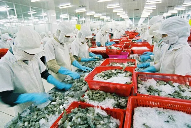 Thúc đẩy xuất khẩu hàng nông sản cao cấp sang Mỹ - Ảnh 1. Thúc đẩy xuất khẩu hàng nông sản cao cấp sang Mỹ - Ảnh 1.