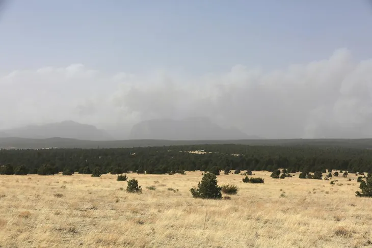 Cháy rừng kỷ lục tại Mỹ: Hàng nghìn người ở bang New Mexico sẵn sàng sơ tán - Ảnh 7. Cháy rừng kỷ lục tại Mỹ: Hàng nghìn người ở bang New Mexico sẵn sàng sơ tán - Ảnh 7.