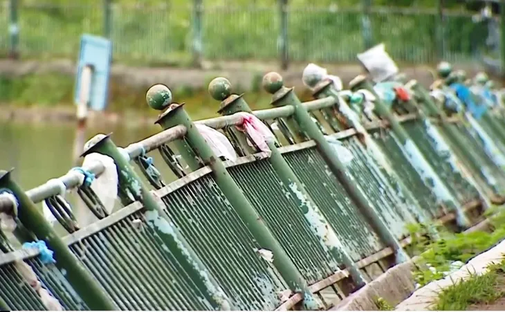 Nhiều công viên nghìn tỷ đồng bỏ hoang giữa Thủ đô - Ảnh 3. Nhiều công viên nghìn tỷ đồng bỏ hoang giữa Thủ đô - Ảnh 3.