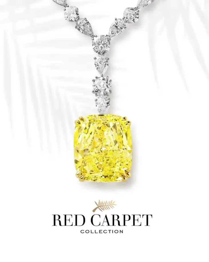 Julia Roberts đeo viên kim cương vàng 100 carat đến LHP Cannes 2022 - Ảnh 2.