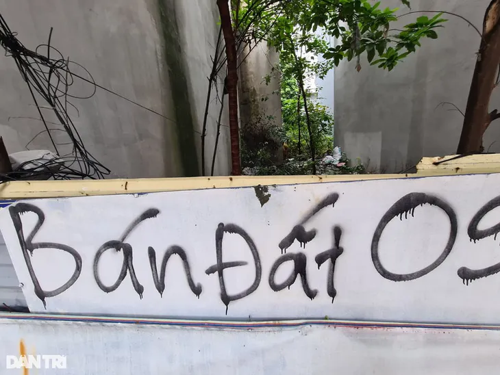 Đu đỉnh sốt đất, nhà đầu tư sống dở chết dở khi thị trường hạ nhiệt - Ảnh 1. Đu đỉnh sốt đất, nhà đầu tư sống dở chết dở khi thị trường hạ nhiệt - Ảnh 1.