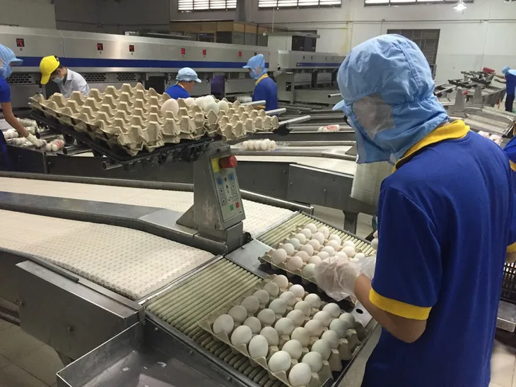 Ngân hàng không tăng lãi vay, doanh nghiệp bình ổn yên tâm sản xuất - Ảnh 1. Ngân hàng không tăng lãi vay, doanh nghiệp bình ổn yên tâm sản xuất - Ảnh 1.