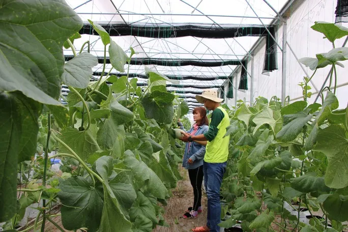 Phát triển du lịch nông thôn: Còn nhiều việc phải làm - Ảnh 1. Phát triển du lịch nông thôn: Còn nhiều việc phải làm - Ảnh 1.