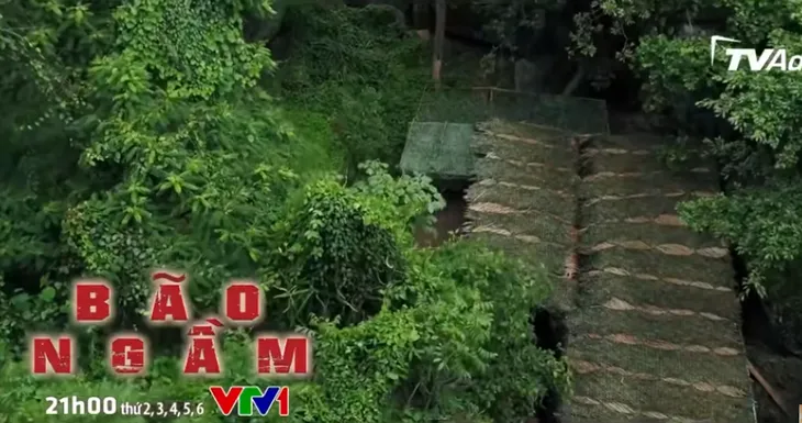 Bão ngầm - Tập 63: Sào huyệt của Sơn bạch tuộc bị lộ - Ảnh 6. Bão ngầm - Tập 63: Sào huyệt của Sơn bạch tuộc bị lộ - Ảnh 6.