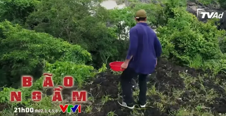 Bão ngầm - Tập 63: Sào huyệt của Sơn bạch tuộc bị lộ - Ảnh 5. Bão ngầm - Tập 63: Sào huyệt của Sơn bạch tuộc bị lộ - Ảnh 5.