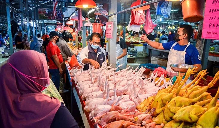 Singapore gặp khó khi Malaysia cấm xuất khẩu thịt gà - Ảnh 1. Singapore gặp khó khi Malaysia cấm xuất khẩu thịt gà - Ảnh 1.