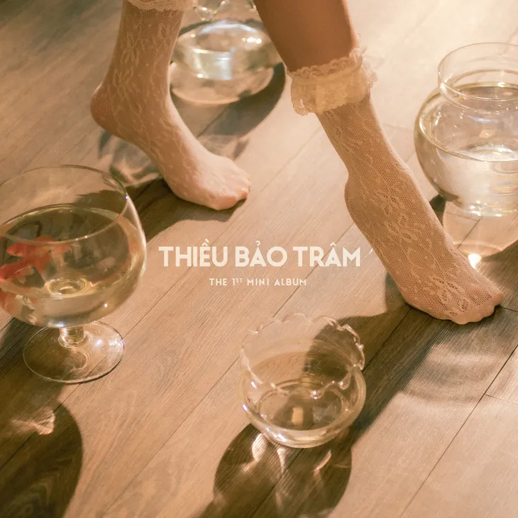 Thiều Bảo Trâm phát hành album vật lý đầu tay - Ảnh 2. Thiều Bảo Trâm phát hành album vật lý đầu tay - Ảnh 2.
