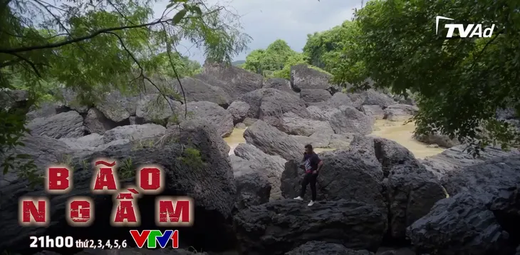 Bão ngầm - Tập 64: Sùng sục đòi quay xe, Phong béo sắp bị Sơn bạch tuộc xử - Ảnh 1. Bão ngầm - Tập 64: Sùng sục đòi quay xe, Phong béo sắp bị Sơn bạch tuộc xử - Ảnh 1.