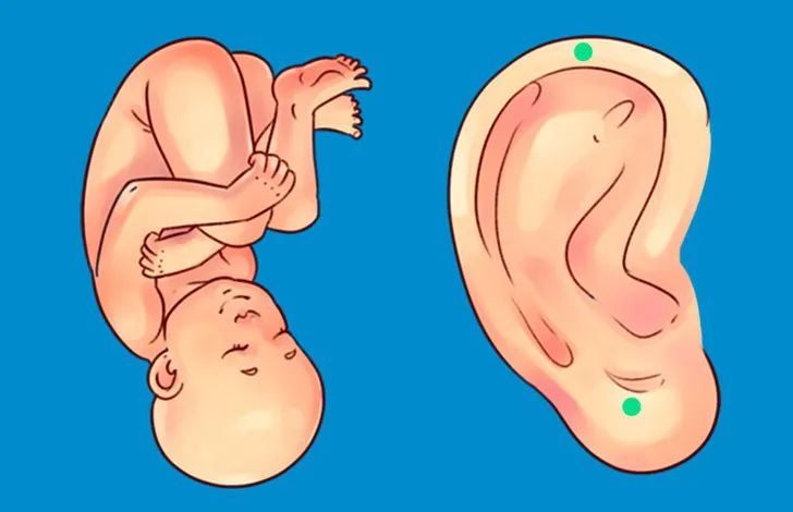 6 mẹo giải quyết nhanh các chứng đau đầu thường gặp - Ảnh 1. 6 mẹo giải quyết nhanh các chứng đau đầu thường gặp - Ảnh 1.