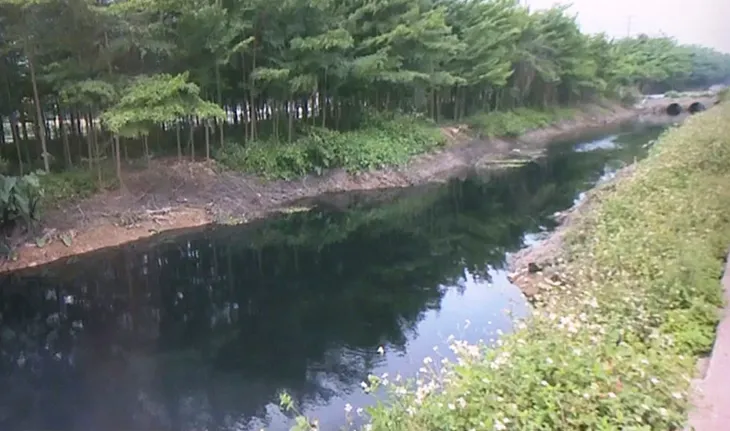 Nước tưới tiêu bị ‘bức tử’ bởi ô nhiễm, trách nhiệm không ai nhận - Ảnh 1. Nước tưới tiêu bị ‘bức tử’ bởi ô nhiễm, trách nhiệm không ai nhận - Ảnh 1.