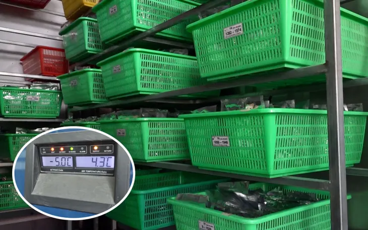 Cận cảnh nơi lữu trữ hơn 3.000 giống lúa dưới 0 độ C - Ảnh 3. Cận cảnh nơi lữu trữ hơn 3.000 giống lúa dưới 0 độ C - Ảnh 3.